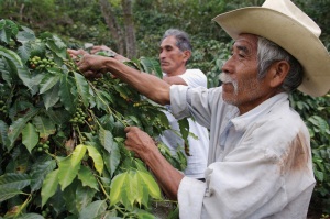 columbian_farmers